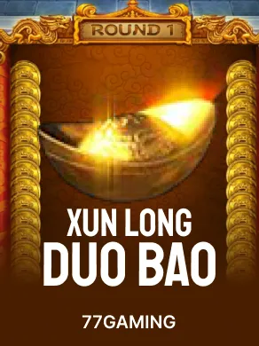 Xun Long Duo Bao