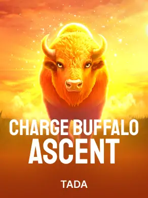 Charge Buffalo ASCENT