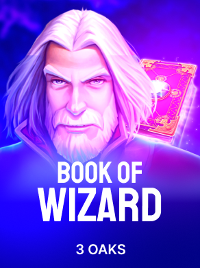 Book Of Wizard