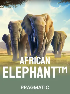 African Elephant™