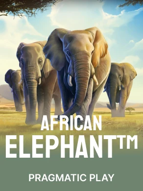 African Elephant™