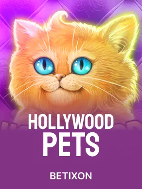Hollywood Pets