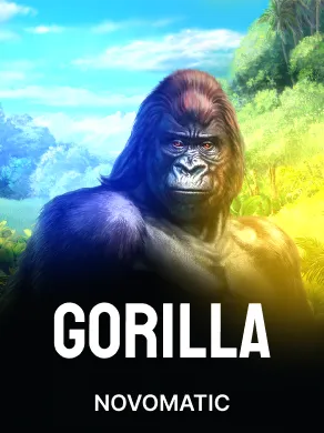 Gorilla
