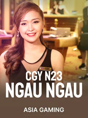 CGY NGAU NGAU N23