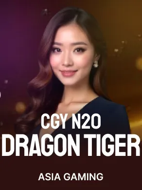 CGY Dragon Tiger N20