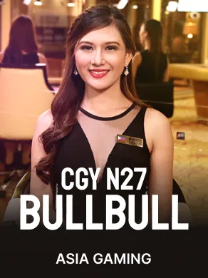 CGY BullBull N27