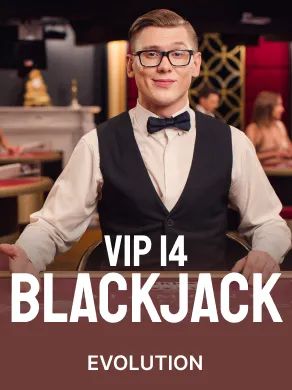 Blackjack VIP 14